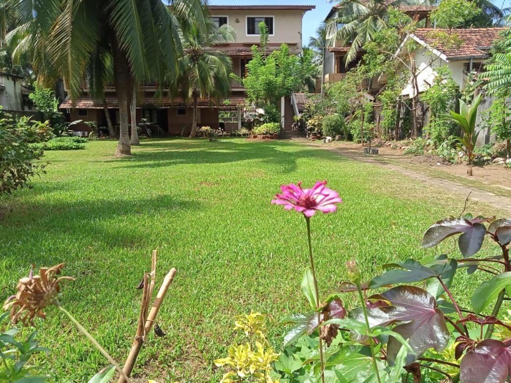 Candle House Kalutara Extérieur photo