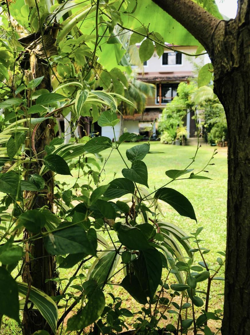 Candle House Kalutara Extérieur photo